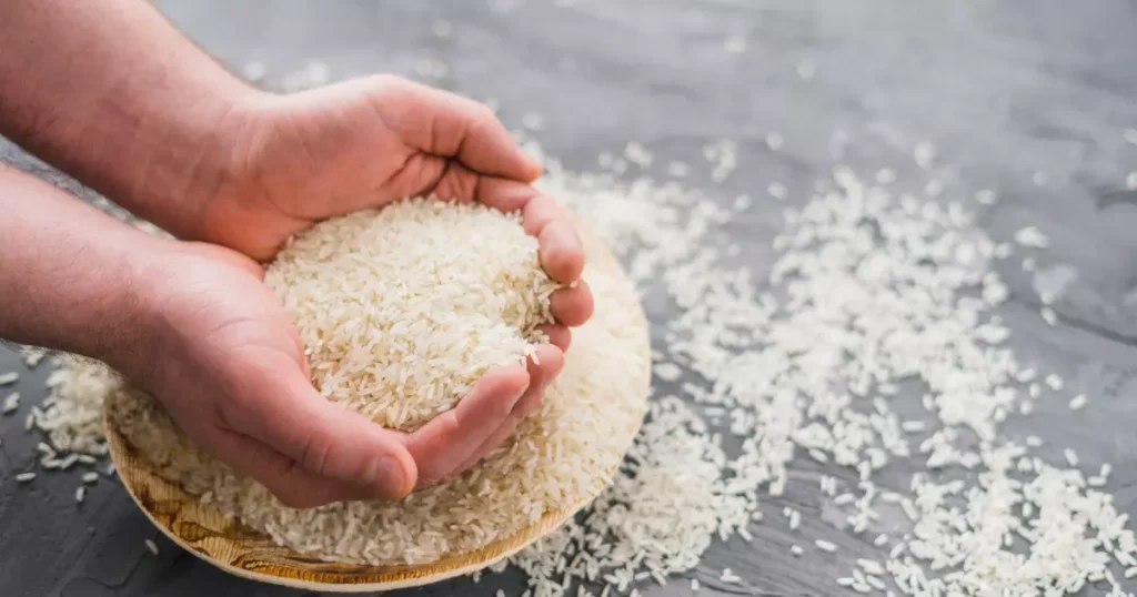 arroz