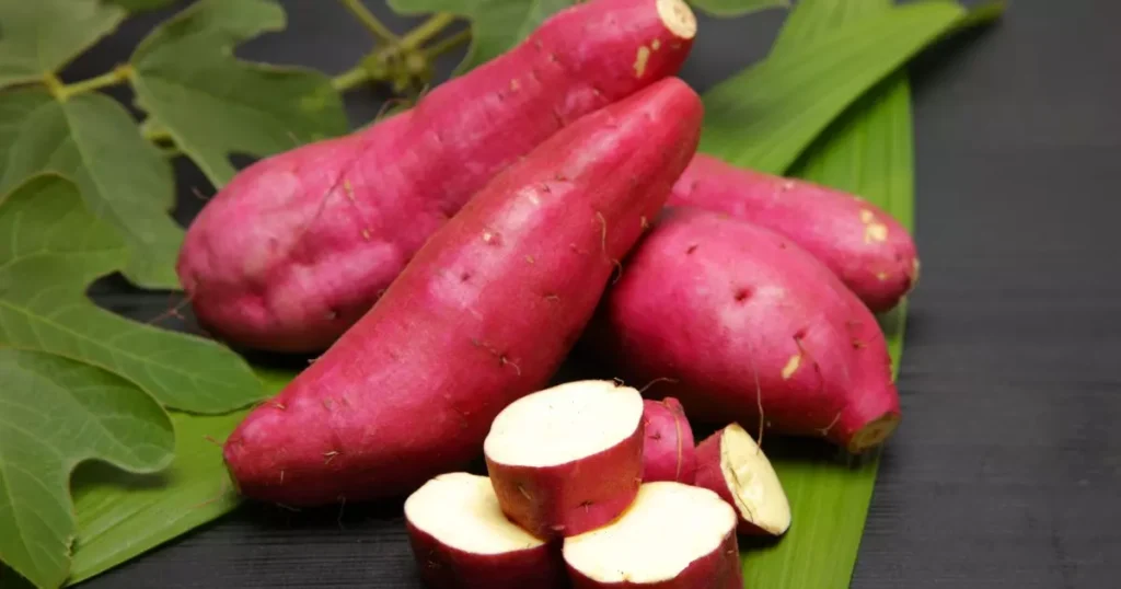 Benefícios da Batata-doce: Um Super Alimento para sua Saúde