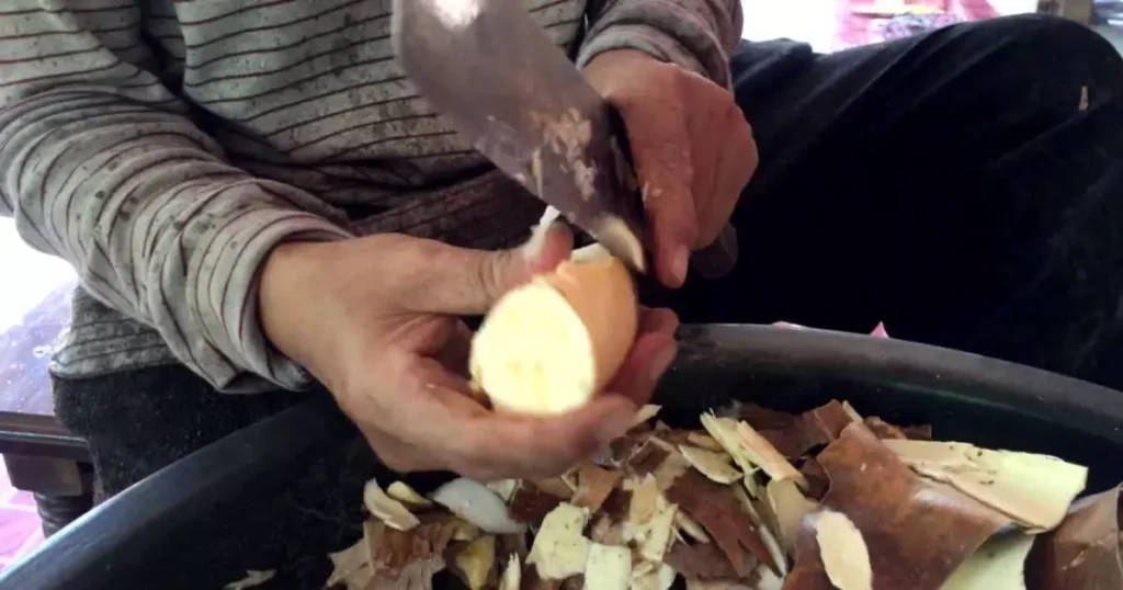 Aproveite ao Máximo a Casca de Mandioca: você pode fazer Chips para comer