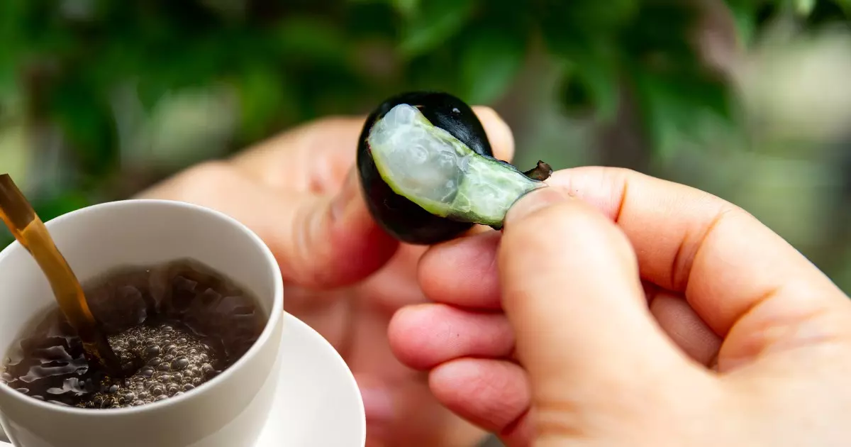 O incrível Chá da Casca de Jabuticaba: Fonte de energia e Saúde