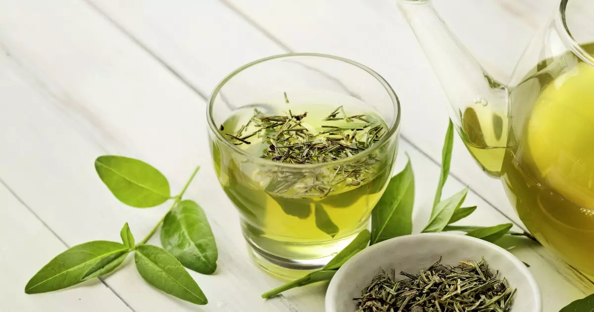 Chá de Guaco: Descubra o Poder Desse Antigo Remédio Natural!