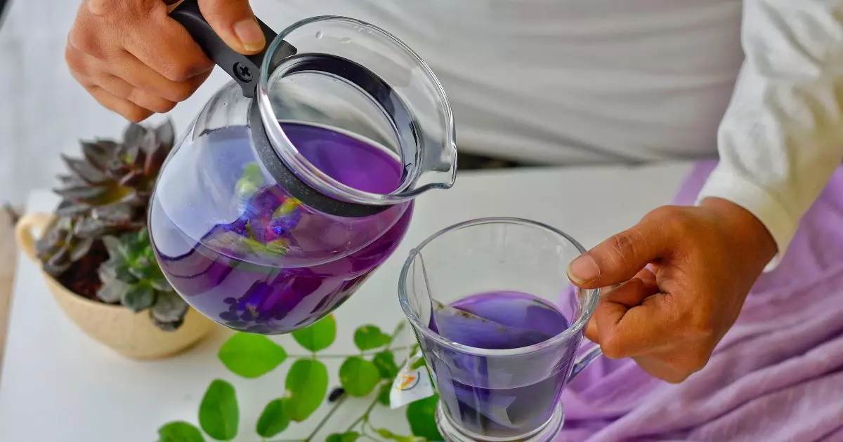 Chá Roxo Revelado: Surpreendentes Vantagens para a Saúde e Como Prepará-lo Deliciosamente