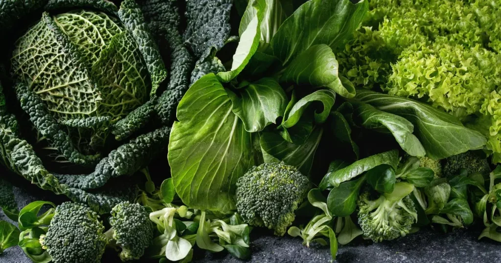 Dicas para conservar as verduras de maneira eficiente na geladeira