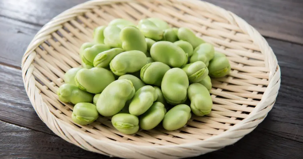 prato com fava