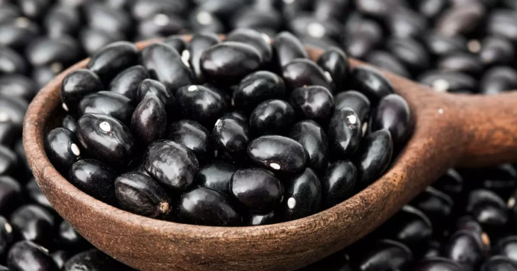 Coma mais Feijão Preto: um forte aliado à saúde e fonte natural de sabor