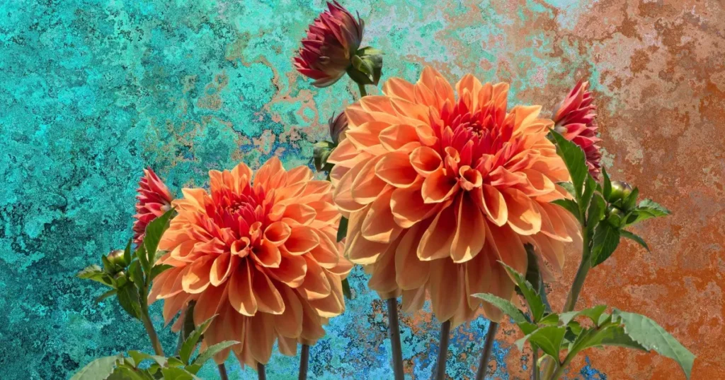 Transforme sua Salada com a Encantadora Flor de Dália – Benefícios Incríveis!