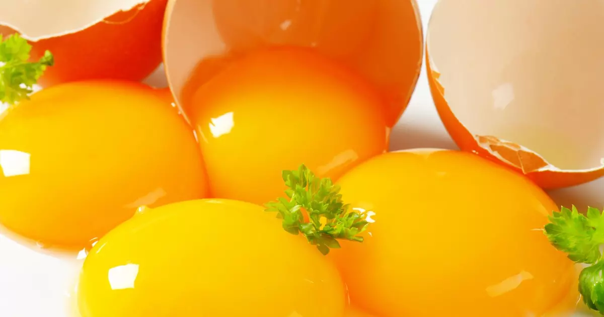 Descubra os Incríveis Benefícios da Gema do Ovo para sua Saúde