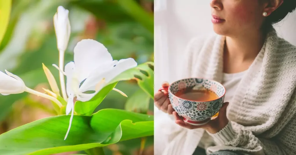 Lírio-do-brejo: A Beleza e Saúde em um Chá! Conheça seus Poderosos Benefícios