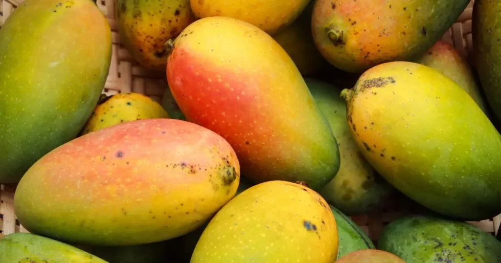 Você conhece todos esses benefícios da manga? Está na hora de saber sobre a fruta!