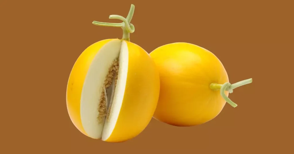 Descubra o Encanto do Melão Amarelo: Sabor, Benefícios e Receitas Deliciosas