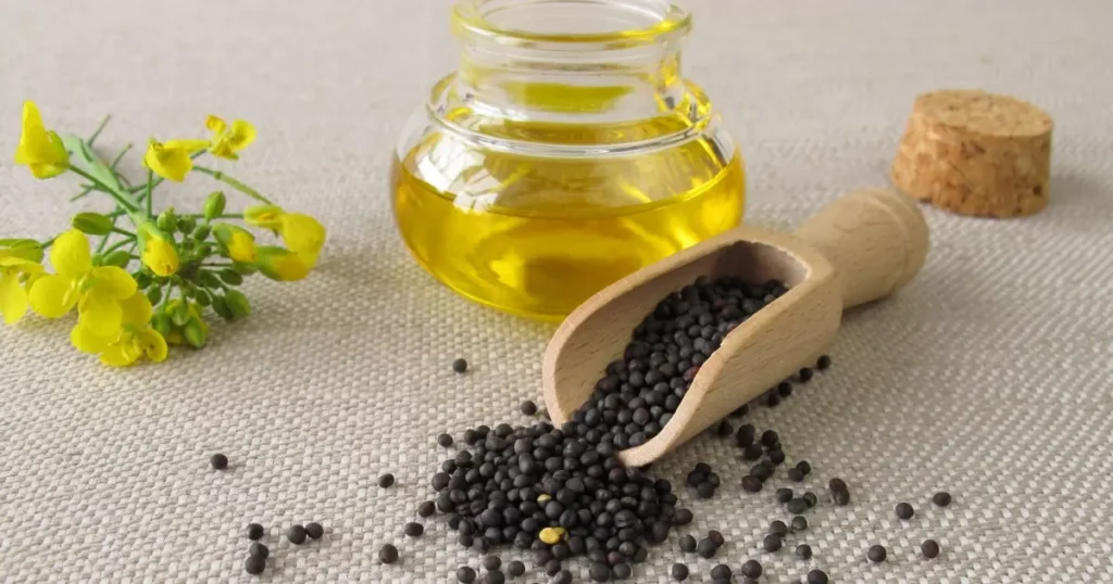 Óleo de Canola: O Segredo para uma Vida mais Saudável e Sabores Deliciosos