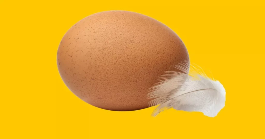 Só tem um Ovo? Veja Receitas criativas com apenas um ovo, ideias deliciosas