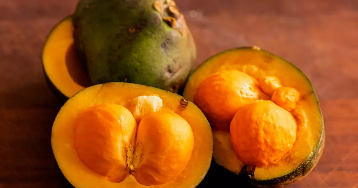 Pequi: conheça os benefícios e curiosidades dessa fruta brasileira