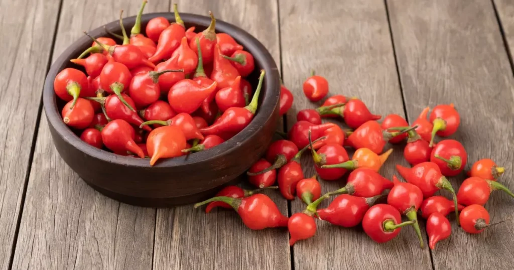 Pimenta Biquinho: um poderoso Antioxidante unido ao sabor