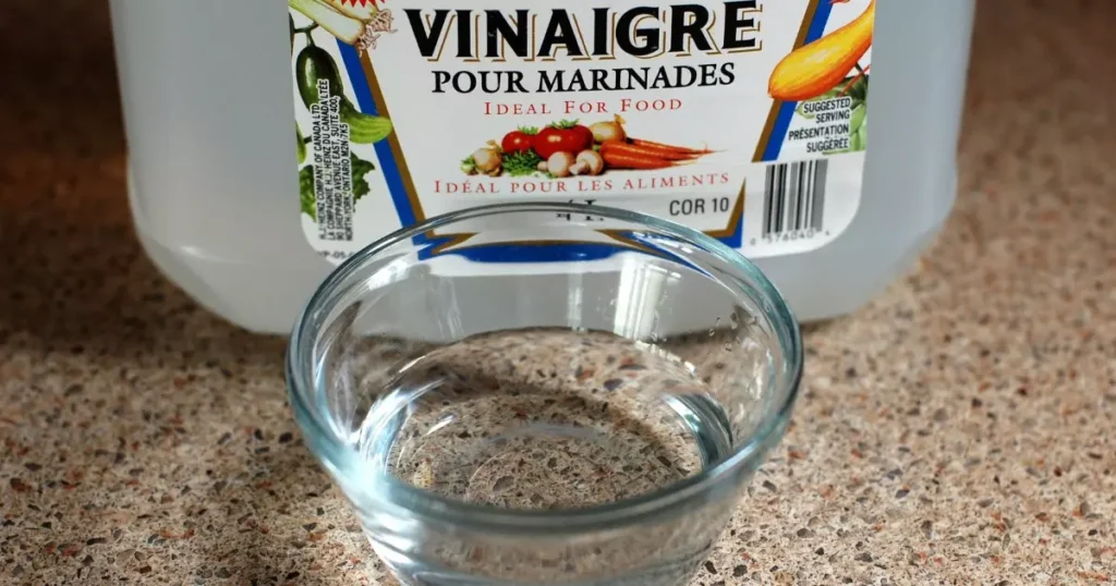 limpeza com vinagre