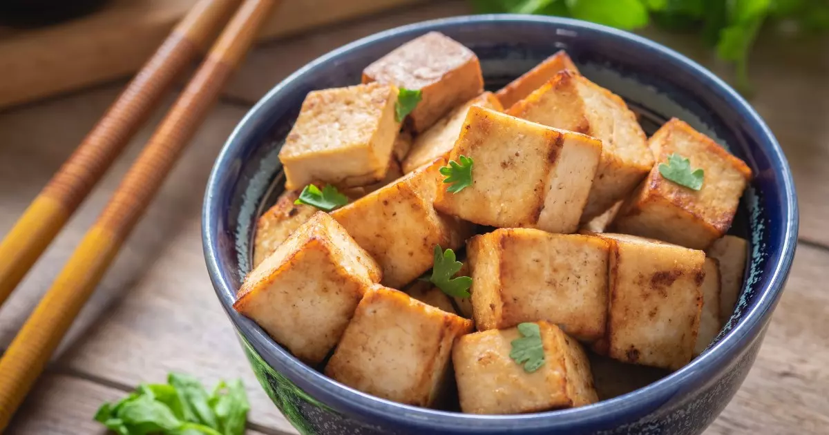  Receita de tofu