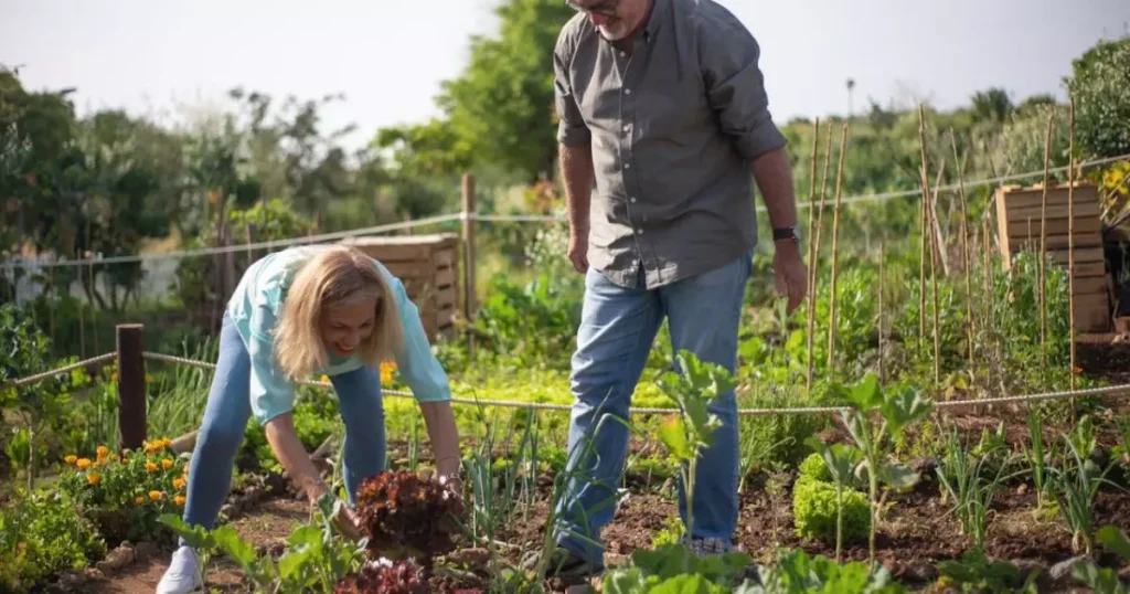 A Vovó que ensinou a fazer adubo para plantas com cascas que seriam jogadas fora