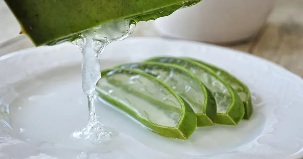 Suco de Aloe Vera: o Detox que Faz a Pele Brilhar de forma natural