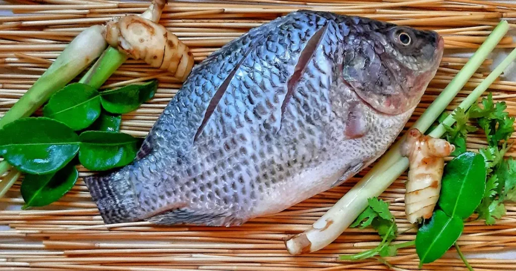 Salsicha, patê e apresuntado de tilápia: Inovação no Mercado de Pescado