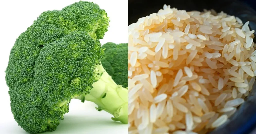 Arroz integral com brócolis light para enriquecer as refeições com vitaminas, minerais e fibras