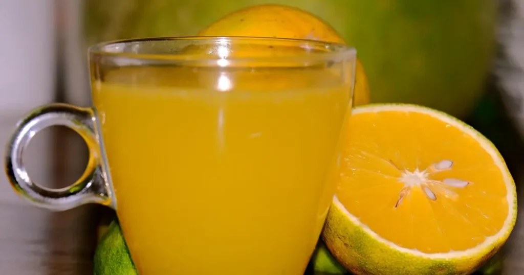 Como fazer Laranjada Caseira Deliciosa: Sem corantes e conservantes artificiais